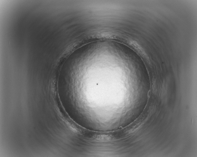 X0000074960449200609152101