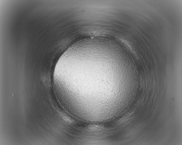 X0000074960453200609152101