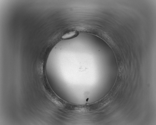 X0000074960454200609152101