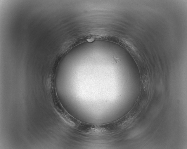 X0000074960455200609152101