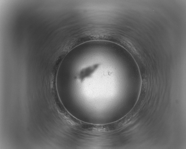 X0000074960458200609152101