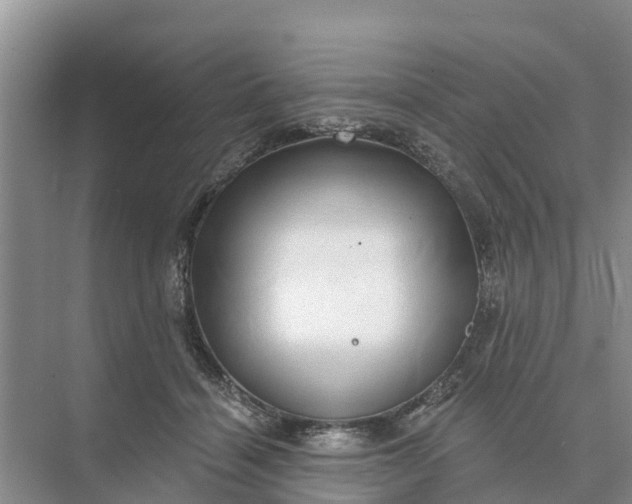 X0000074960460200609152101