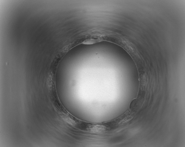 X0000074960463200609152101