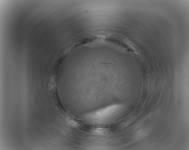 X0000074960467200609152101