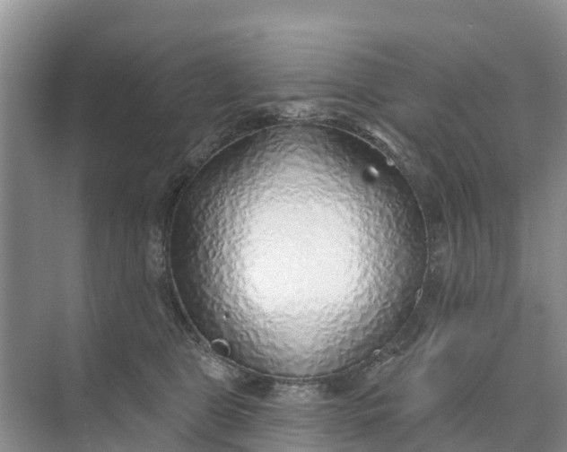 X0000074960469200609152101