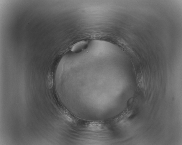 X0000074960471200609152101