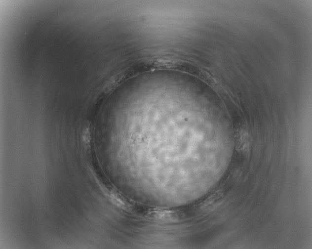 X0000074960472200609152101