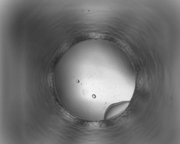 X0000074960473200609152101