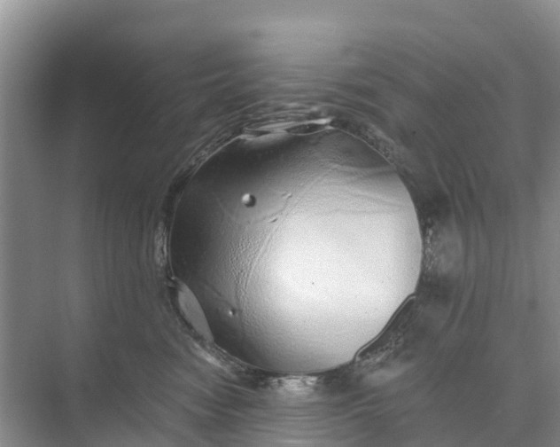 X0000074960474200609152101