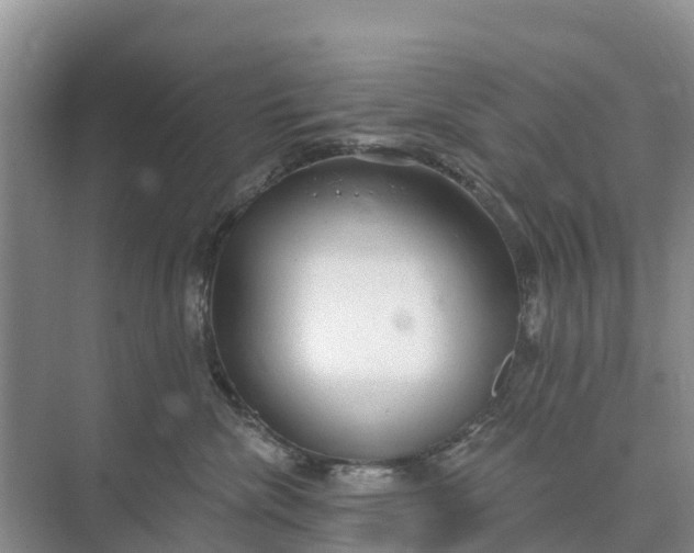 X0000074960476200609152101