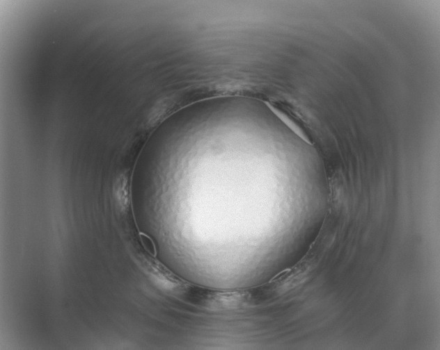 X0000074960479200609152101