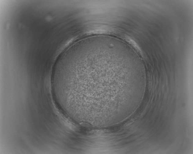 X0000074960482200609152100