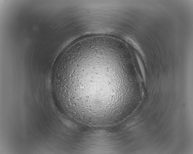 X0000074960483200609152100