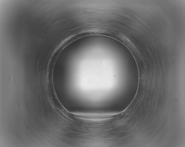 X0000074960484200609152100