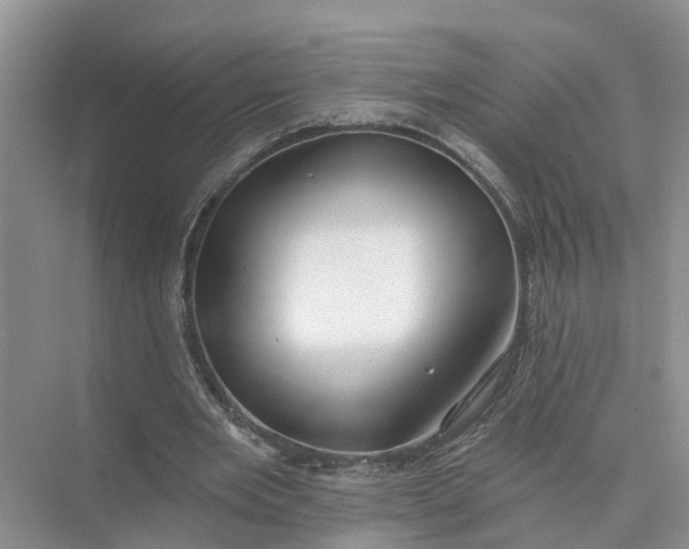 X0000074960485200609152100