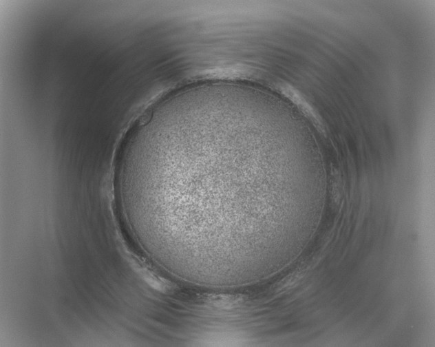 X0000074960486200609152100