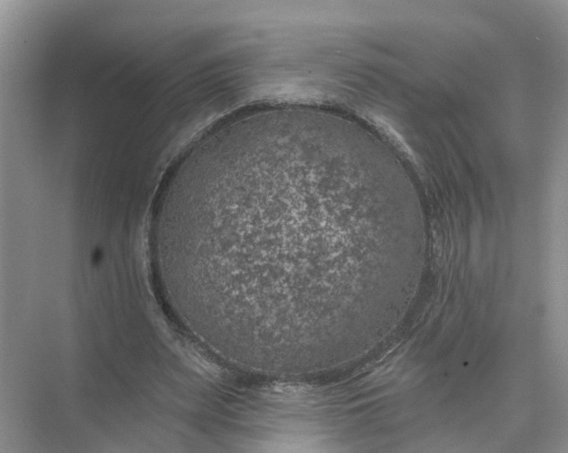 X0000074960487200609152100