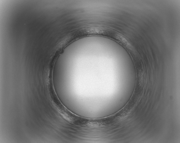 X0000074960490200609152100