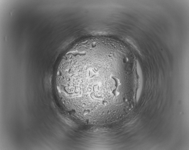 X0000074960491200609152100