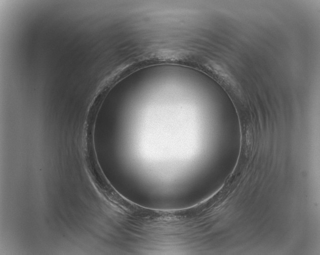 X0000074960492200609152100