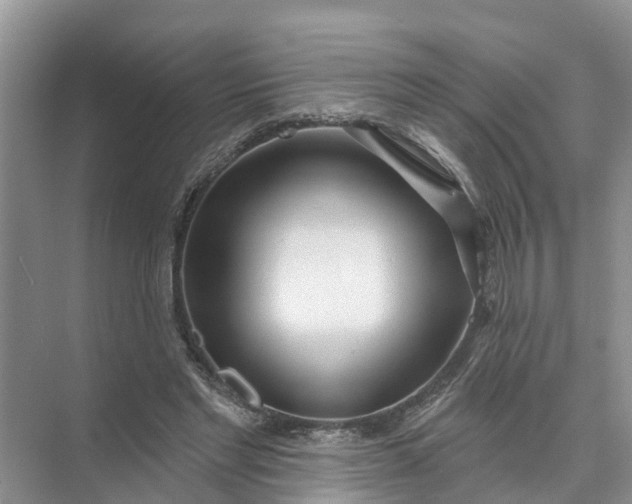 X0000074960493200609152100