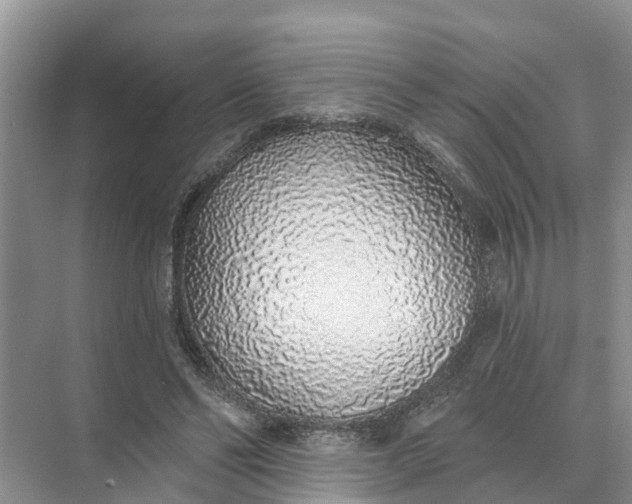 X0000074960494200609152100