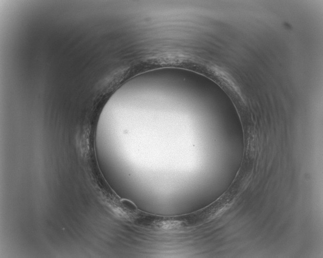 X0000074960501200609152100