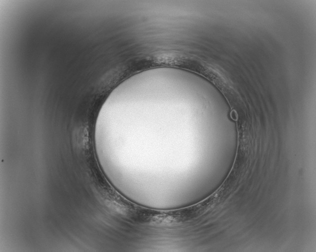 X0000074960502200609152100