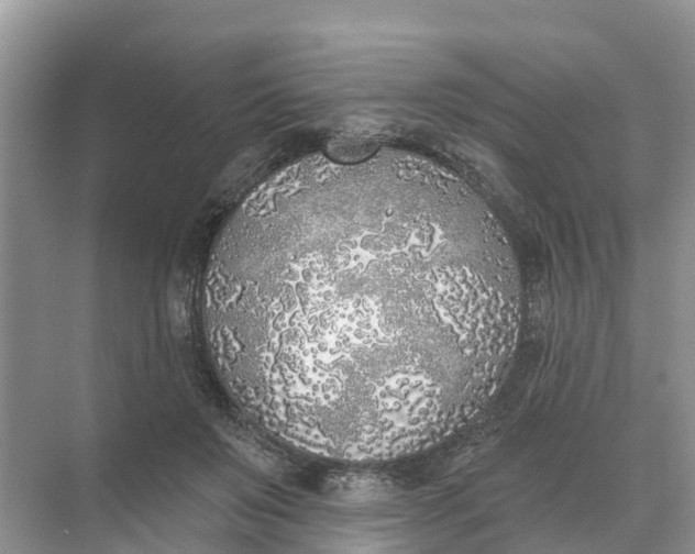 X0000074960503200609152100