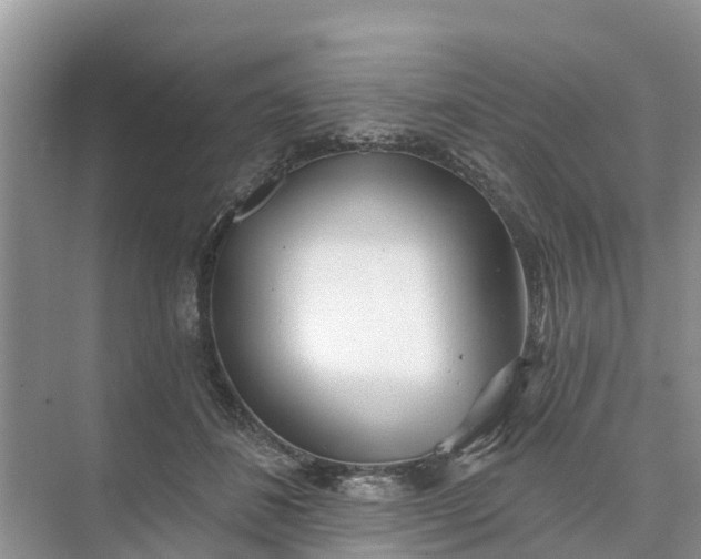 X0000074960508200609152100