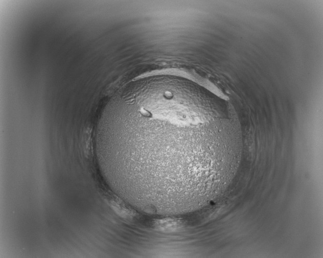 X0000074960511200609152100