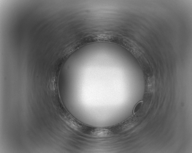 X0000074960514200609152100