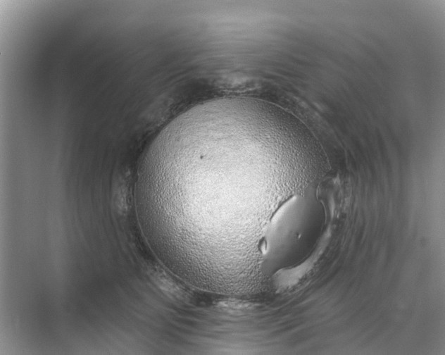 X0000074960515200609152100