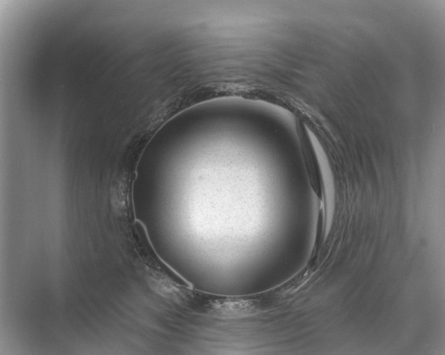 X0000074960517200609152100