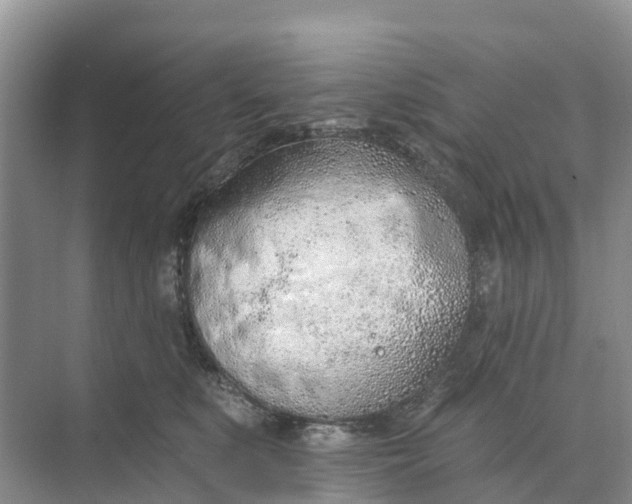 X0000074960519200609152100