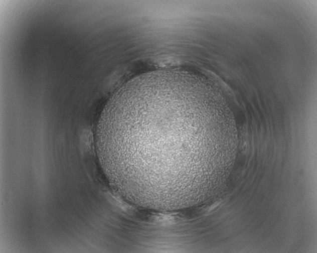 X0000074960523200609152100