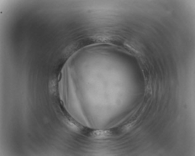 X0000074960526200609152100