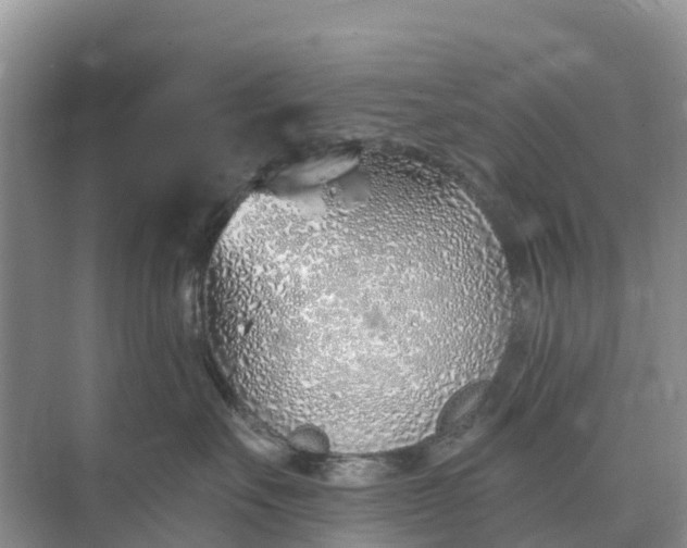 X0000074960527200609152100