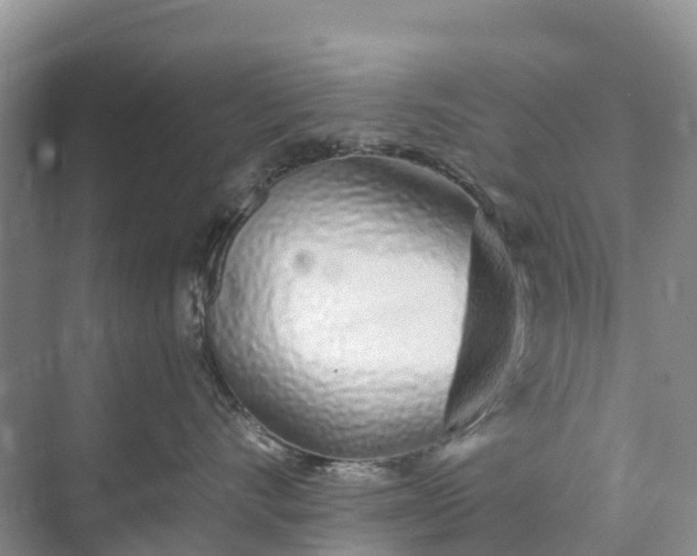 X0000074960528200609152100