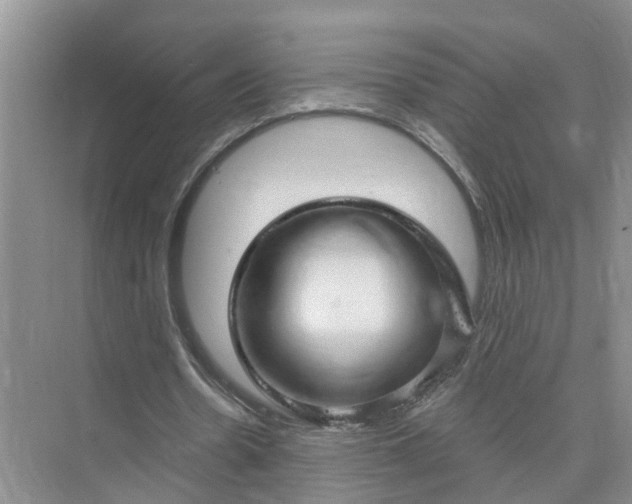 X0000074960530200609152059