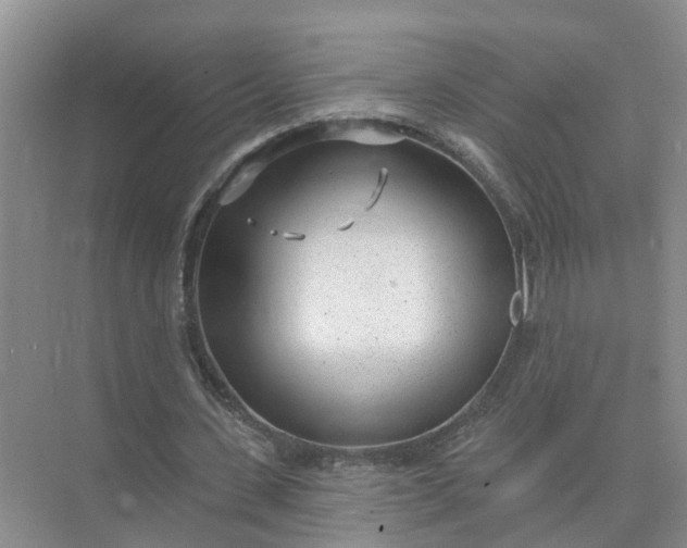 X0000074960531200609152059