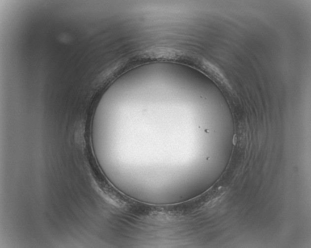 X0000074960538200609152059