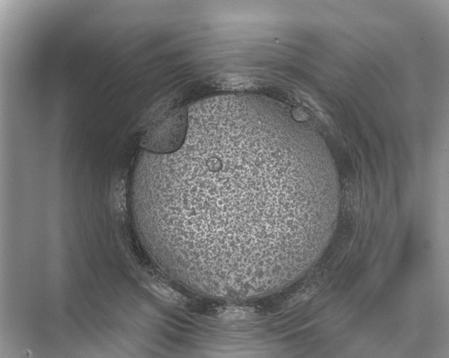 X0000074960549200609152059