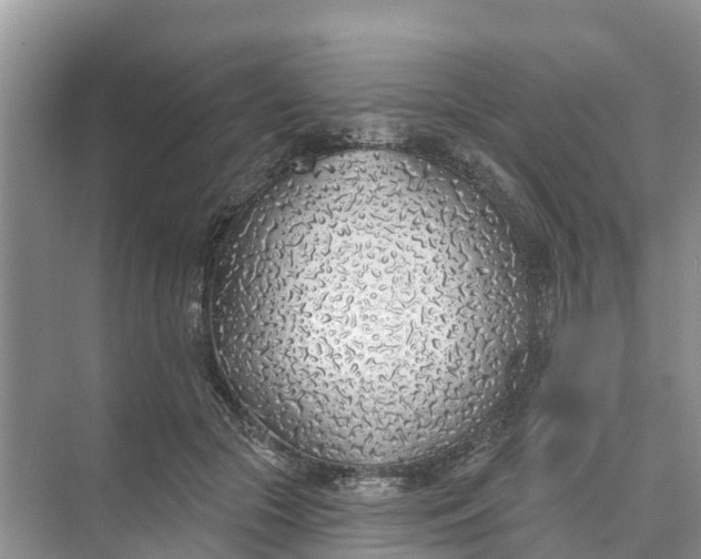 X0000074960553200609152059