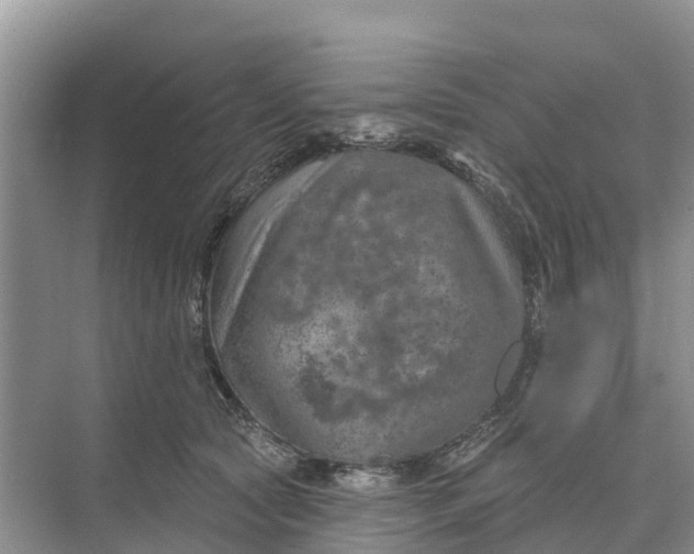 X0000074960561200609152059