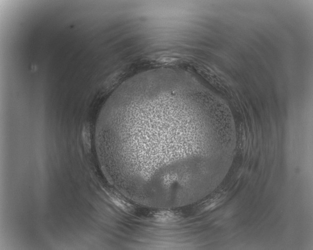 X0000074960562200609152059