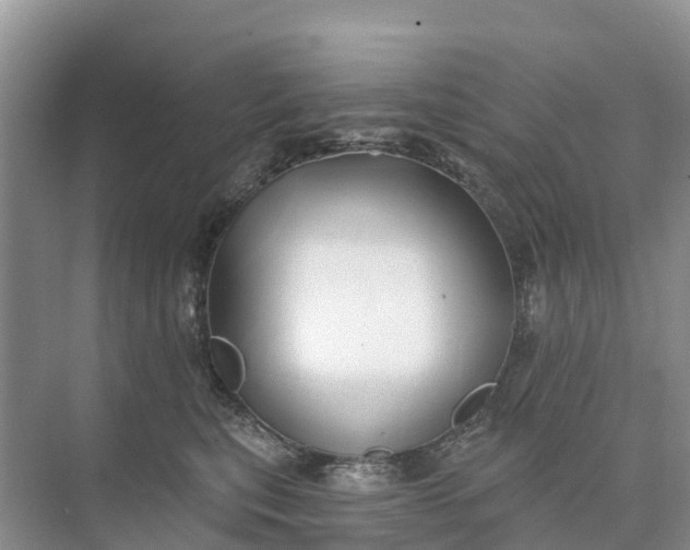 X0000074960567200609152059