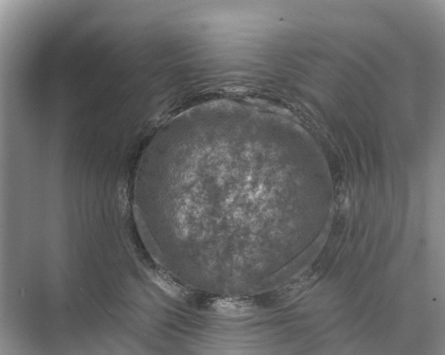 X0000074960568200609152059