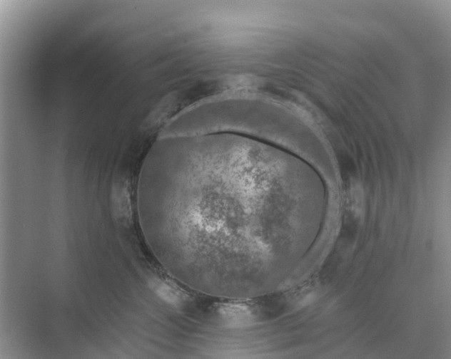 X0000074960572200609152059