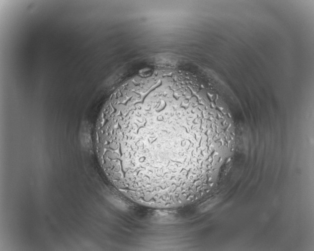 X0000074960573200609152059